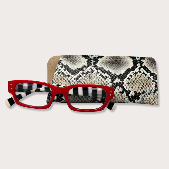 Estuche para Lentes