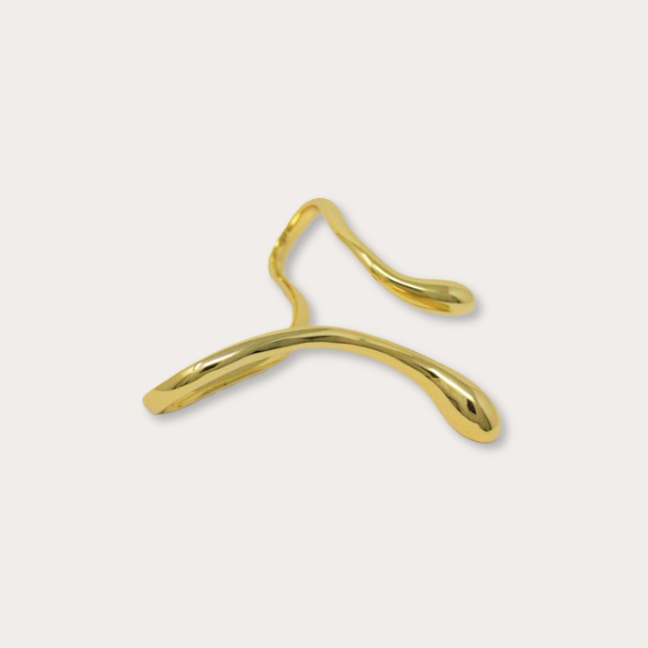 Serpent Hand Accessory