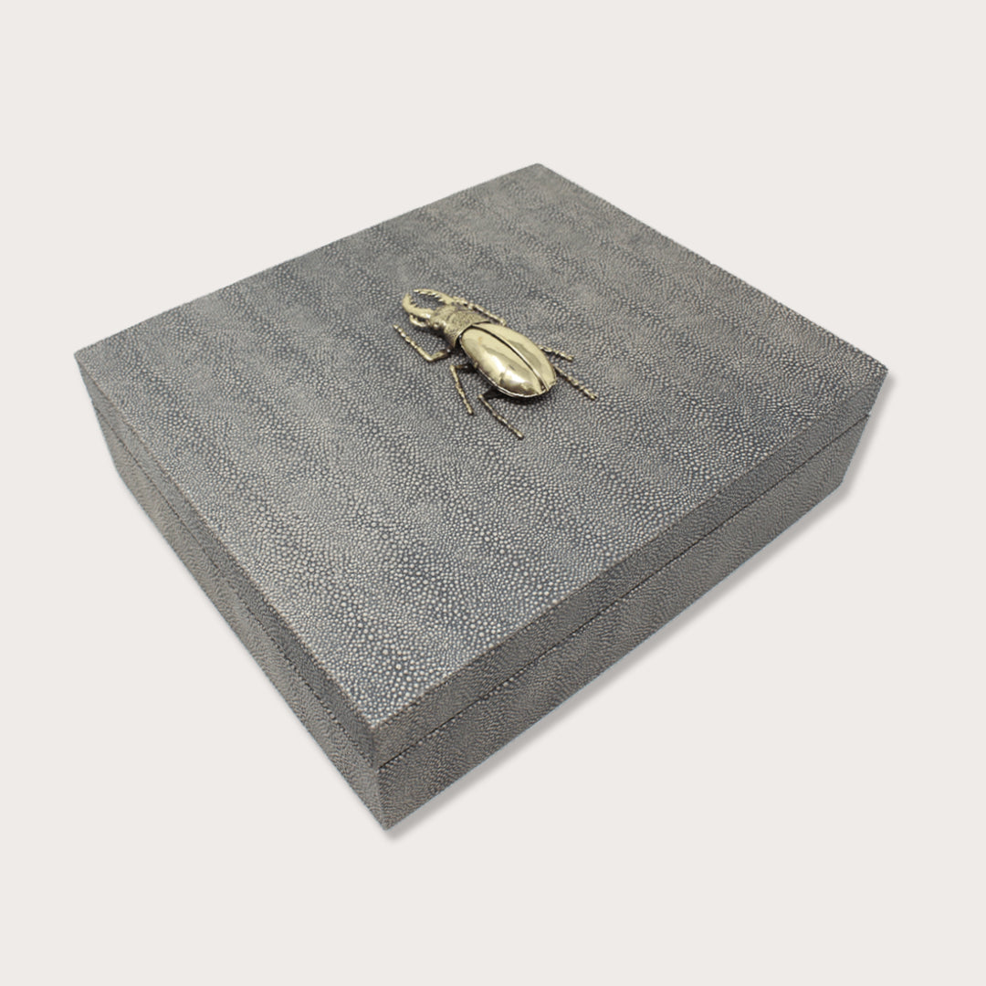 Beetle Embossed Big Box - LAURA CANTU JEWELRY