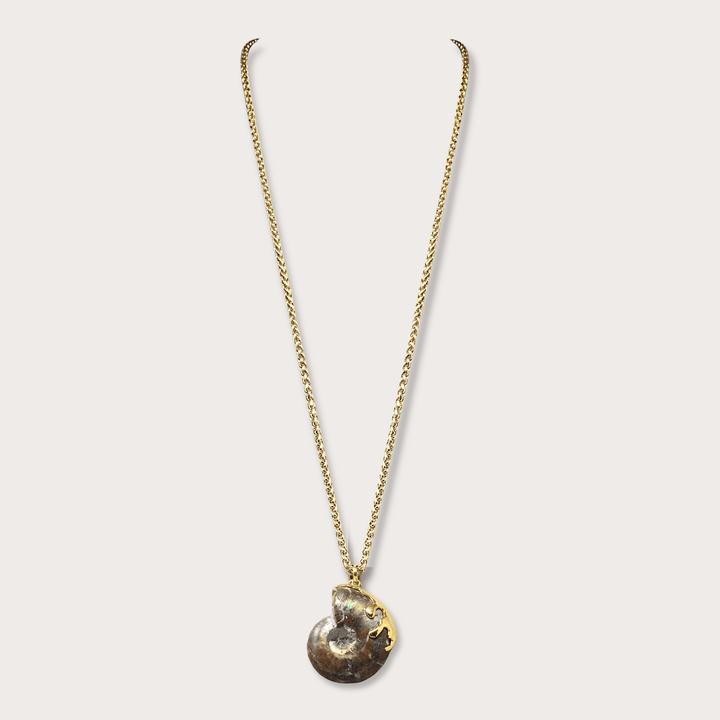 Fossil Ammonite - LAURA CANTU JEWELRY