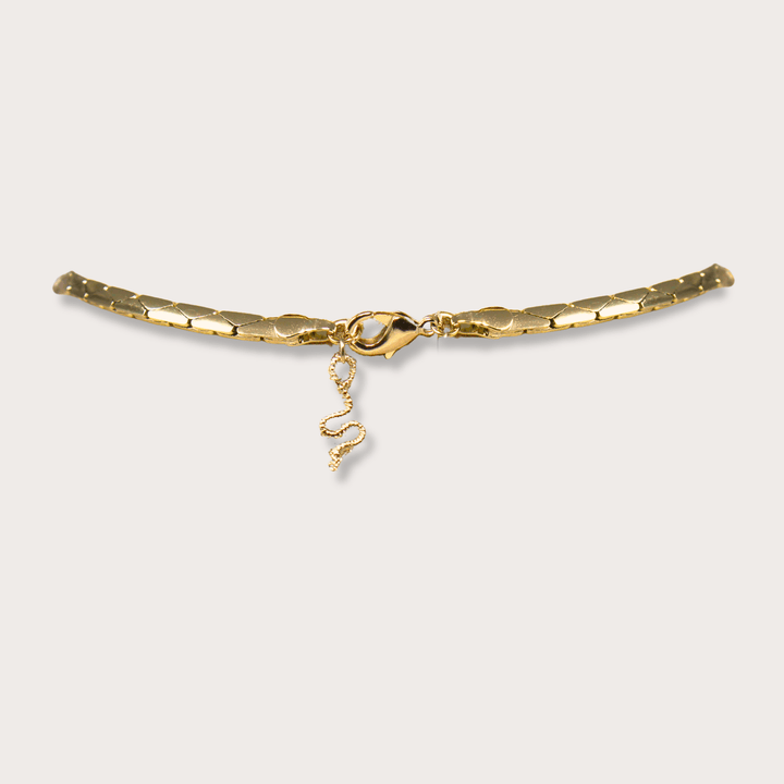 Rafaella Lariat Gold - LAURA CANTU JEWELRY