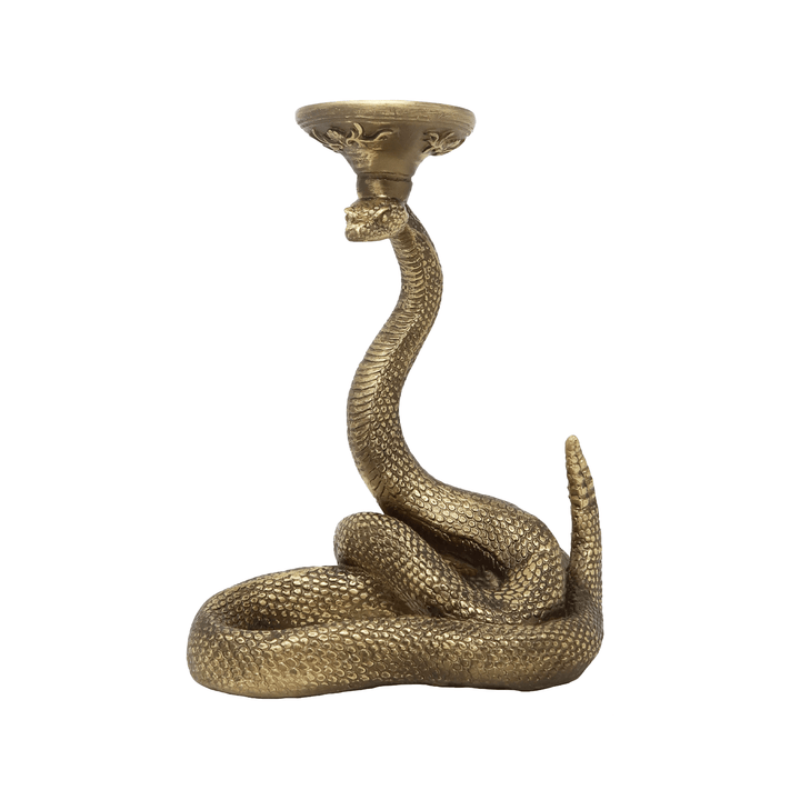 Adorno Víbora con Plato Hondo - LAURA CANTU JEWELRY