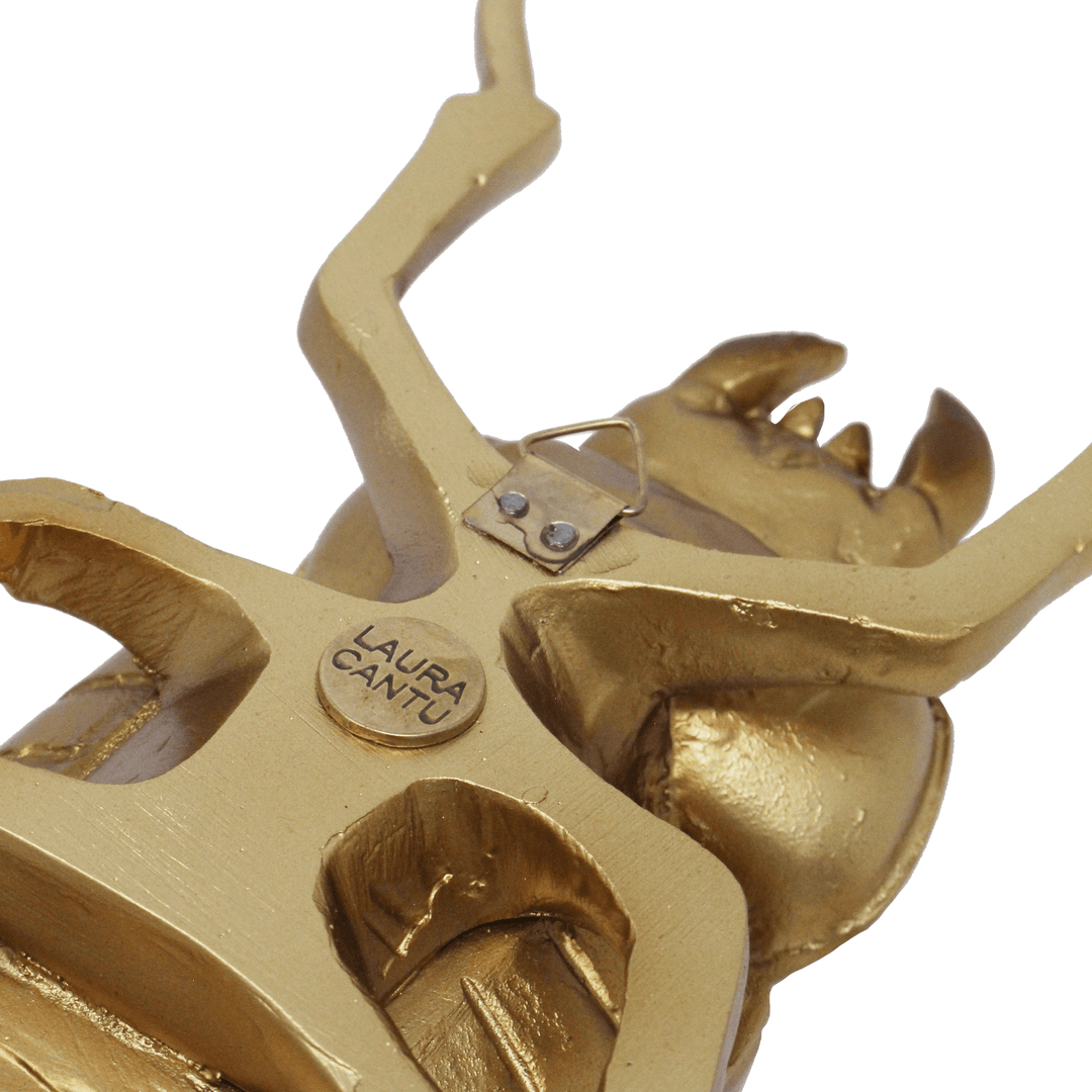 Beetle Decor - LAURA CANTU JEWELRY