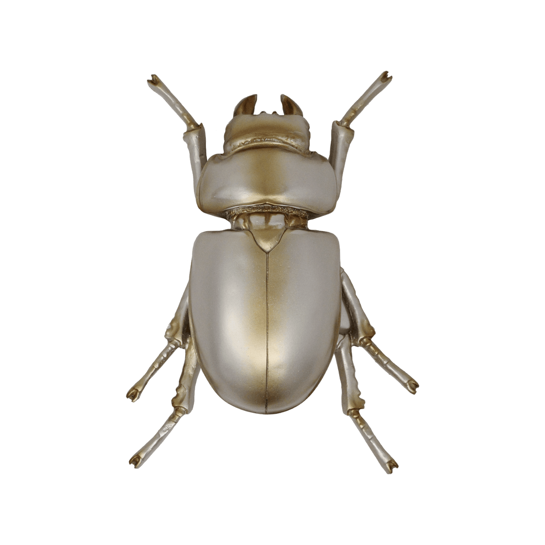 Beetle Decor - LAURA CANTU JEWELRY