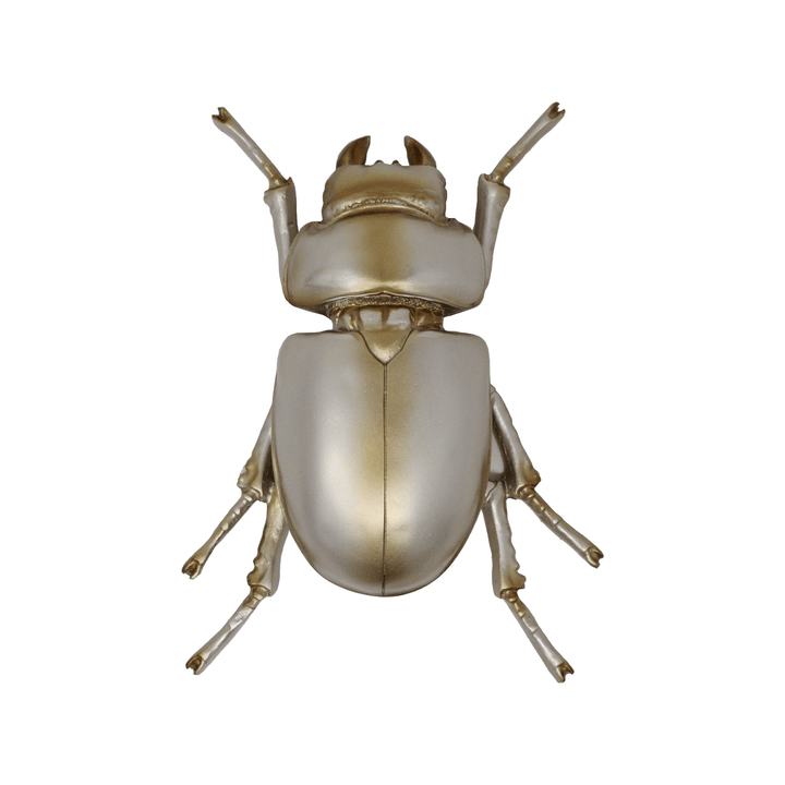 Beetle Decor - LAURA CANTU JEWELRY