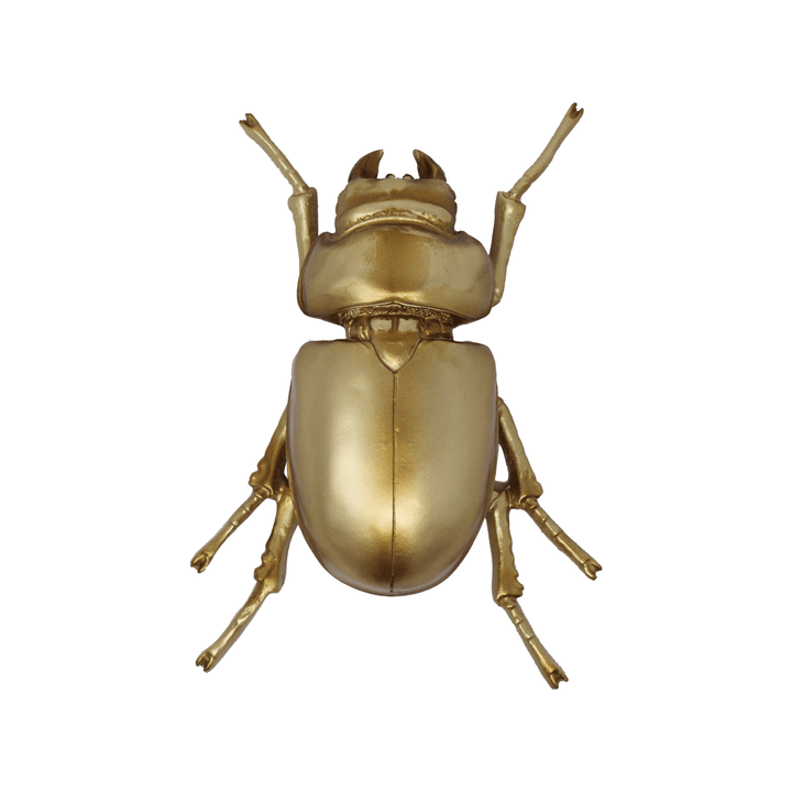 Beetle Decor - LAURA CANTU JEWELRY