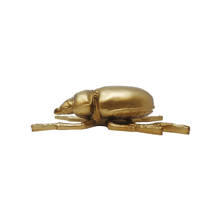 Beetle Decor - LAURA CANTU JEWELRY